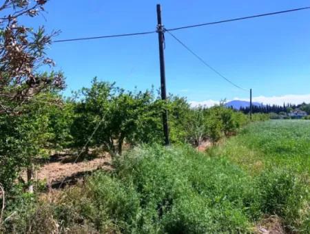 17 500 M2 Grundstück Im Dorf Bebauungsfläche Zum Verkauf In Ortaca Fevziye