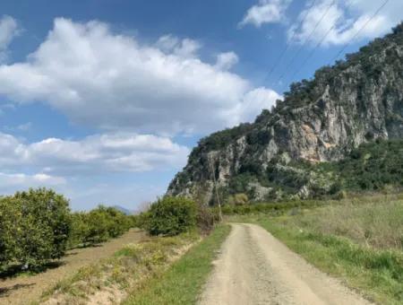 Mugla Dalyan Marmarlı 1500 M2 Grundstück Zum Verkauf