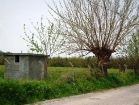 8 000 M2 Fruchtbares Land Zum Verkauf In Muğla Ortaca Fevziye