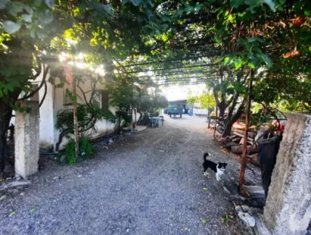 7 250 M2 Haus Zu Verkaufen, Gewächshaus Und Granatapfelgarten Zu Verkaufen In Ortaca Eskiköy