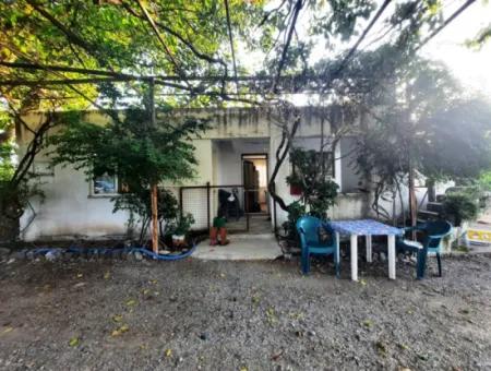 7 250 M2 Haus Zu Verkaufen, Gewächshaus Und Granatapfelgarten Zu Verkaufen In Ortaca Eskiköy