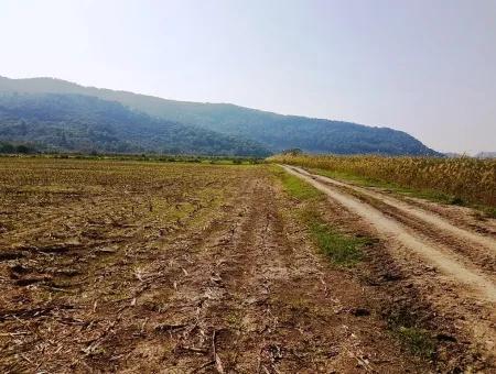 Region Des Fruchtbaren Landes Vermietung