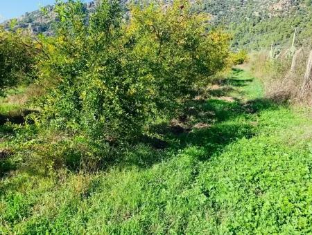 Zum Verkauf Grundstücke Zum Verkauf In Mergenli