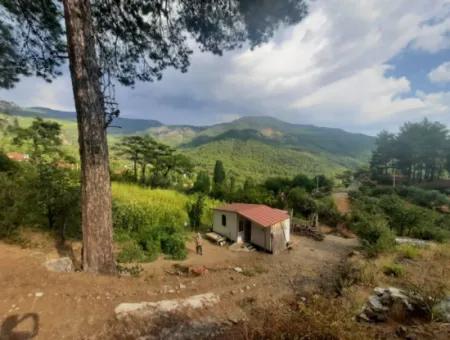 Muğla Köyceğiz Ağla - 535 M2 Grundstück Und Tiny House Haus Zum Verkauf Auf Dem Plateau