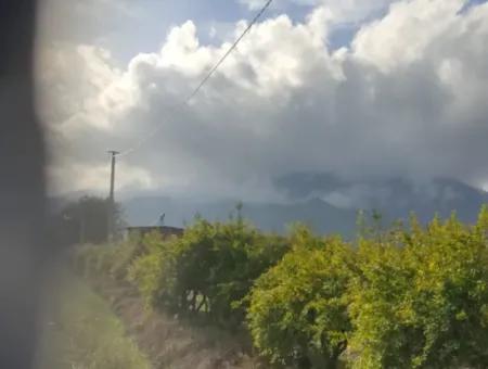 7833 M2 Freistehendes Feld Zum Verkauf In Muğla Ortaca Eskiköy