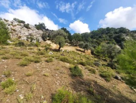 Muğla Dalyan Gökbelde 7 270 M2 Freistehende Eigentumsurkunde Land Mit Meer- Und Seeblick Zum Verkauf