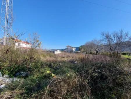 1500 M2 Zoniertes Grundstück Zur Miete In Muğla Dalyan