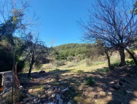 2 400 M2 Feld Zum Verkauf In Muğla Ortaca Gökbelde Natur