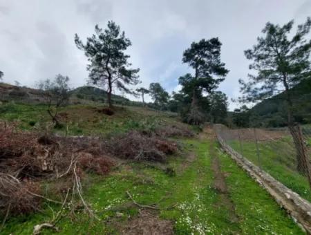 Ortaca Gökbelde Freistehende Natur Auf 626M2 Grundstück Zum Verkauf