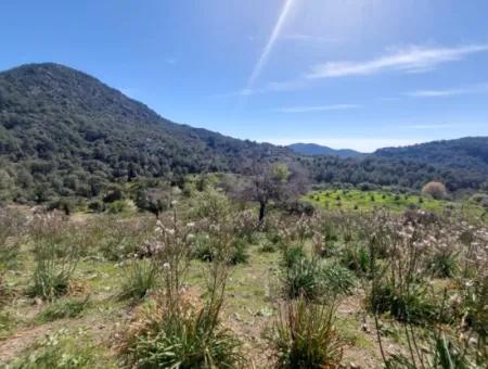 Ortaca Gökbelde Freistehendes 12 132M2 Schnäppchengrundstück In Der Natur Zum Verkauf