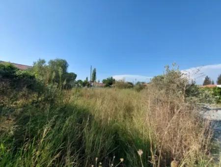 Grundstück In Der Gegend Von Dalyan Arikbaşi Zum Verkauf