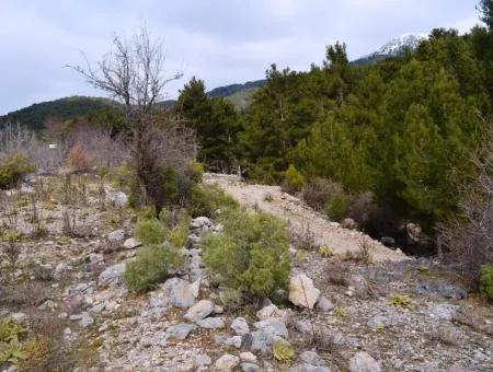 Zum Verkauf Schnäppchen Land In Fethiye Ta Sty