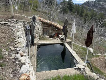 Antalya Akseki Çimiköy 9 400 M2 Freistehender Schnäppchen-Walnussgarten Zum Verkauf Oder Tausch
