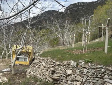 Antalya Akseki Çimiköy 9 400 M2 Freistehender Schnäppchen-Walnussgarten Zum Verkauf Oder Tausch
