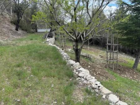 Antalya Akseki Çimiköy 9 400 M2 Freistehender Schnäppchen-Walnussgarten Zum Verkauf Oder Tausch