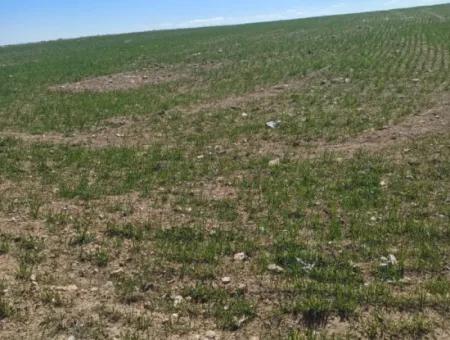 Konya Kadinhani Baskuyu 650.000 M2 Schnäppchenland Zum Verkauf