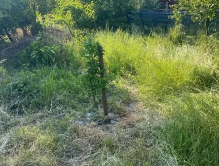 500 M2 Grundstück Mit Rızai-Trennwand In Ortaca Kemaliye Zum Notverkauf
