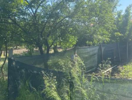 500 M2 Grundstück Mit Rızai-Trennwand In Ortaca Kemaliye Zum Notverkauf