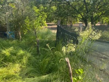 500 M2 Grundstück Mit Rızai-Trennwand In Ortaca Kemaliye Zum Notverkauf