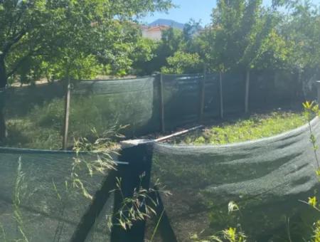 500 M2 Grundstück Mit Rızai-Trennwand In Ortaca Kemaliye Zum Notverkauf