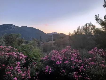 238 M2 Hobbygartengrundstück Mit Freistehender Eigentumsurkunde Zum Verkauf In Muğla Ortaca Gökbel