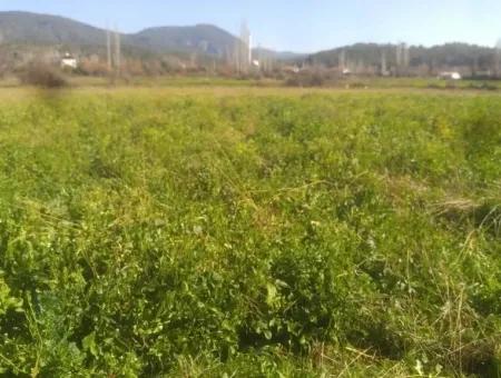 Land Zum Verkauf In Bargain Detached Zeytinalani