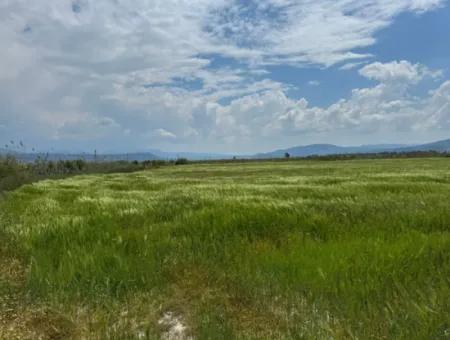 Milas Avşar 27.216 M2 Wohnung Daten Freistehendes Grundstück Zum Dringenden Verkauf, Offen Zum Angebot