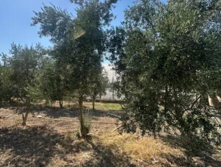 538 M² Grundstück Zum Verkauf In Ortaca Ekşiliyurt – Baugenehmigung Für 250 M²