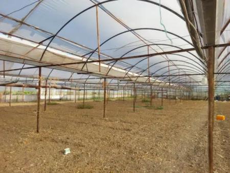 5.850 M² Seeblick Grundstück Und Dorfhaus Zum Verkauf In Ortaca Eskiköy