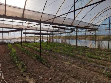 5.850 M² Seeblick Grundstück Und Dorfhaus Zum Verkauf In Ortaca Eskiköy