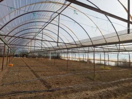 5.850 M² Seeblick Grundstück Und Dorfhaus Zum Verkauf In Ortaca Eskiköy