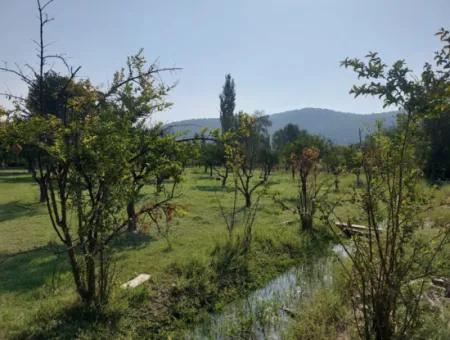 2.500 M² Freistehendes Eigentumsdeklamationsinvestitionsgrundstück Zum Verkauf In Ortaca Kemaliye
