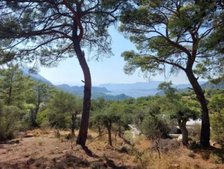 1.361 M² Investitionsgrundstück Mit See- Und Meerblick Zum Verkauf In Muğla Ortaca Gökbel