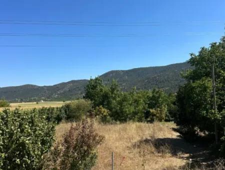 3070 M2 Walnussgarten Zum Verkauf Am Rande Der Hauptstraße In Denizli Çameli