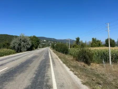3070 M2 Walnussgarten Zum Verkauf Am Rande Der Hauptstraße In Denizli Çameli
