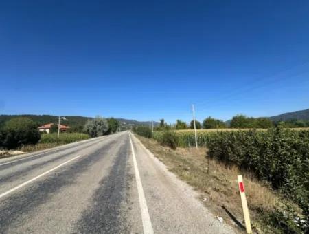 3070 M2 Walnussgarten Zum Verkauf Am Rande Der Hauptstraße In Denizli Çameli
