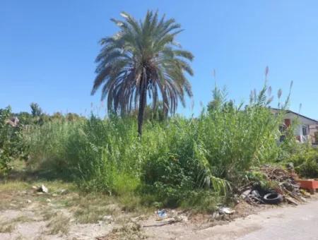 850 M2, 25/50 Wohngrundstück In Seenähe In Köyceğiz Zu Verkaufen