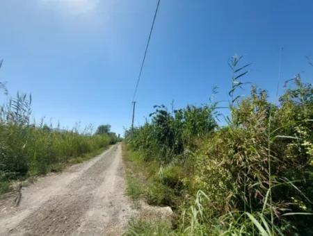 8126 M2 Investition Und Granatapfelgarten, Die Für Zirayi-Darlehen Geeignet Sind, Stehen In Ortaca Tepe Zum Verkauf