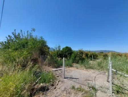 8126 M2 Investition Und Granatapfelgarten, Die Für Zirayi-Darlehen Geeignet Sind, Stehen In Ortaca Tepe Zum Verkauf