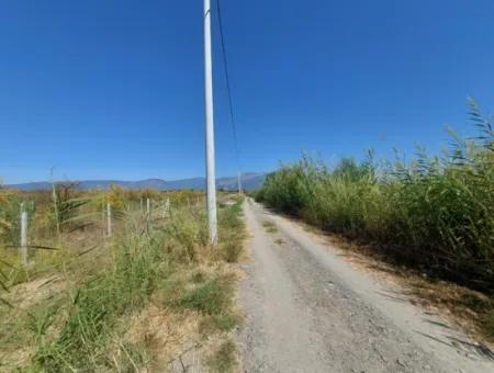 8126 M2 Investition Und Granatapfelgarten, Die Für Zirayi-Darlehen Geeignet Sind, Stehen In Ortaca Tepe Zum Verkauf