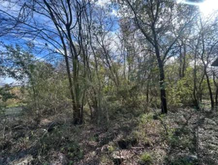 12 000 M2 Feld Zum Verkauf In Ortaca Yeşilyurt