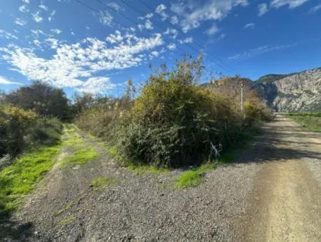 12 000 M2 Feld Zum Verkauf In Ortaca Yeşilyurt