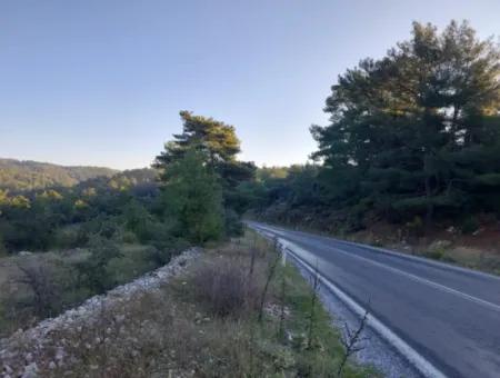 Muğla Ula Kızılyaka 790M2 Schatzkammer Das Landbesitzrecht Wird Übertragen Oder Das Fahrzeug Wird Ausgetauscht