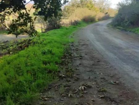 Schnäppchen 6.000 M² Land Zum Verkauf In Muğla Ula Karabörtlende