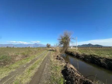 Feld Zum Verkauf In Der Nähe Von Dalyan, Nahe Dem Köyceğiz-See