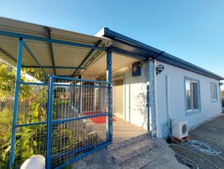 Ein Schnäppchenhaus Mit 2 1.110 M² Nutzungsfläche Auf 1200 M² Freistehendem Grundstück In Dalyan Steht Zum Verkauf