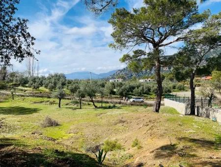 Freistehendes Feld Zu Verkaufen In Ortaca Gökbel