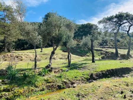 Freistehendes Feld Zu Verkaufen In Ortaca Gökbel