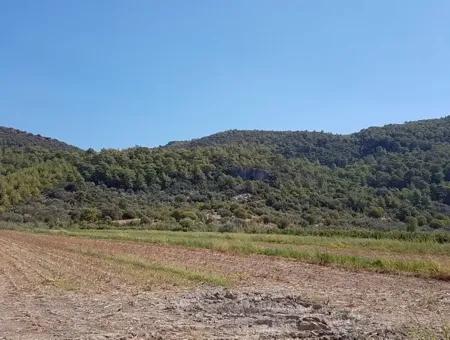 Fruchtbares Land Zum Verkauf In Famagusta Schnäppchen