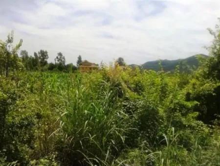 Oriya Land In Der Nähe Der Hauptstraße Zum Verkauf In Fethiye